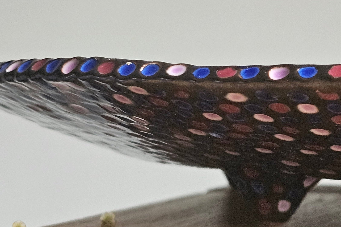 Ceramic big plate