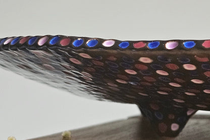 Ceramic big plate