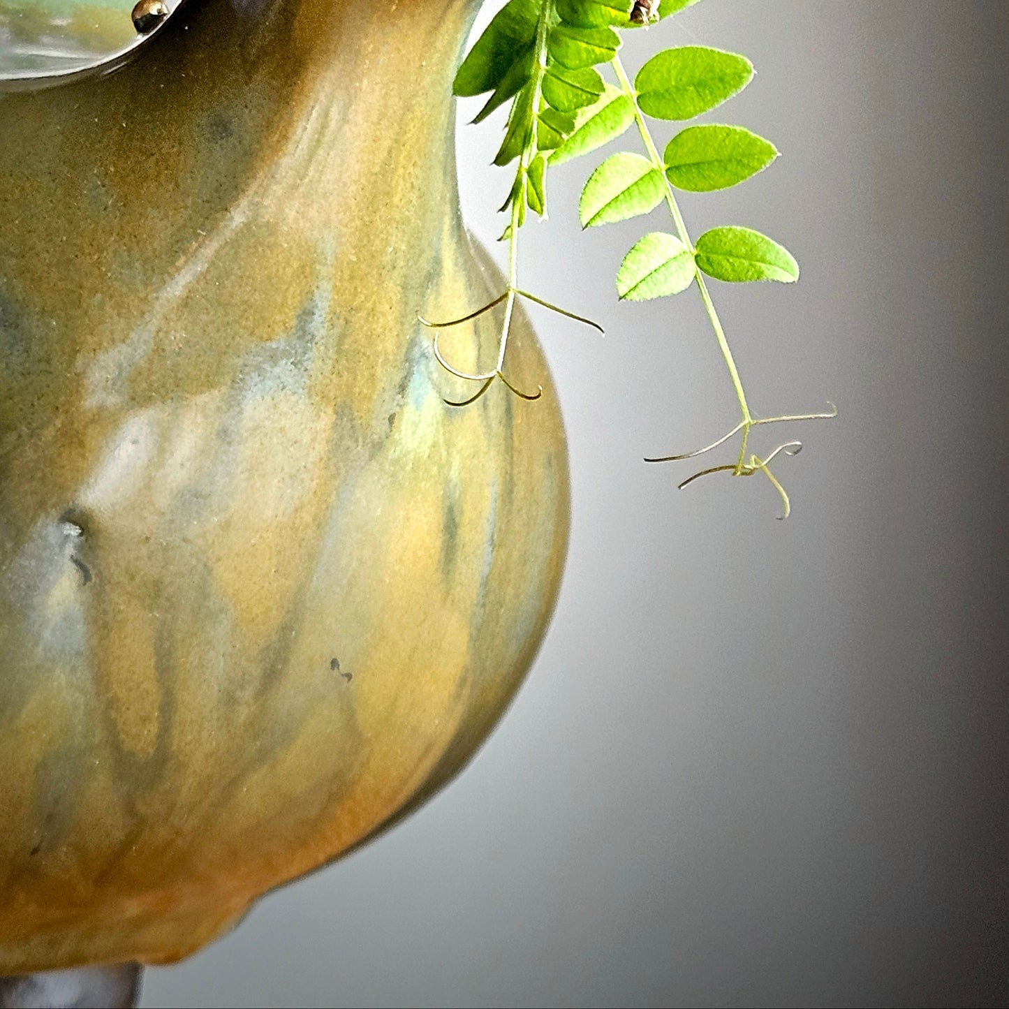 Green teapot-bubles