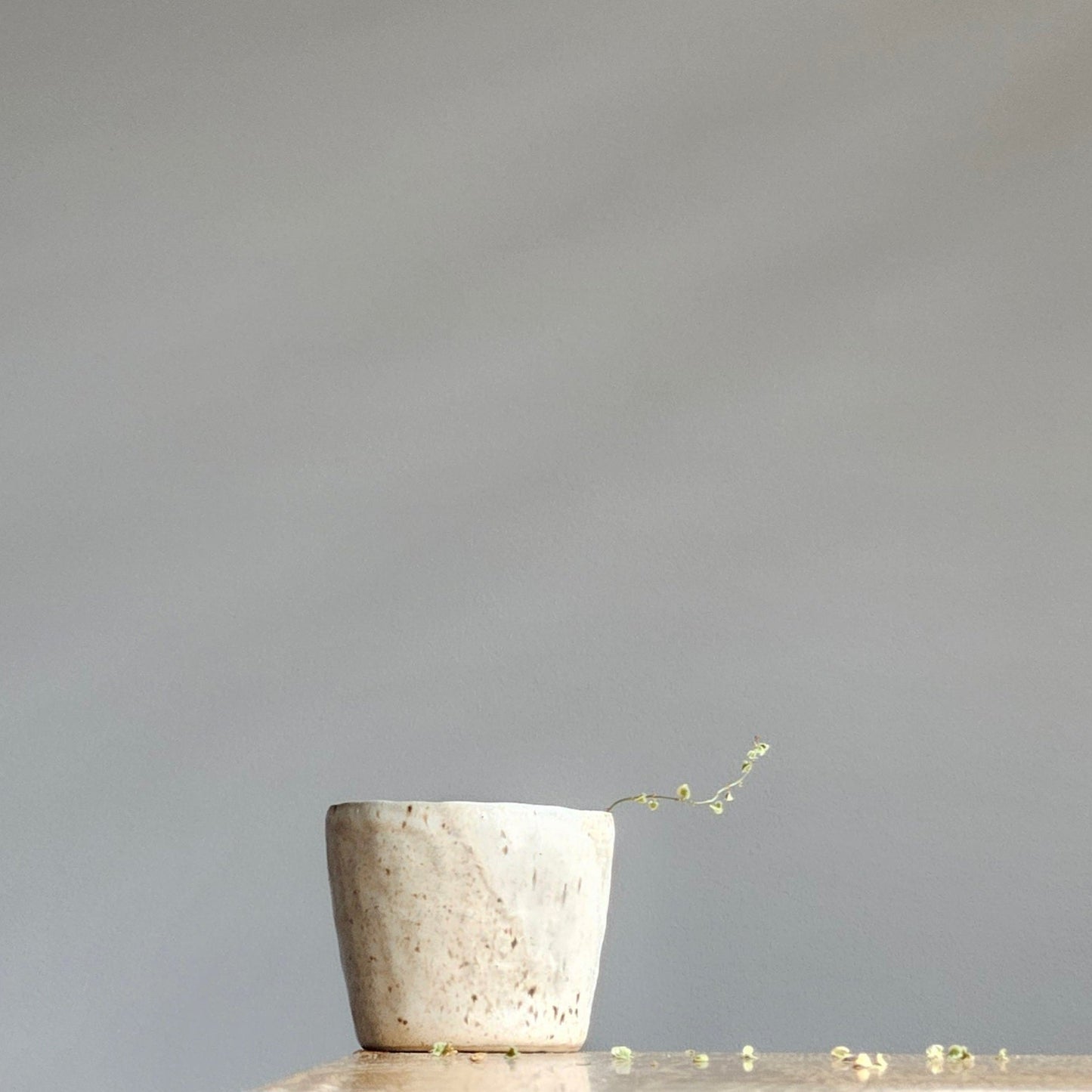 Espresso Cup