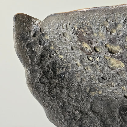 Handmade ceramic bowl"Black Coral"