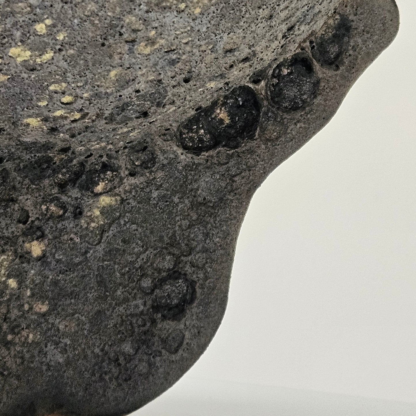 Handmade ceramic bowl"Black Coral"