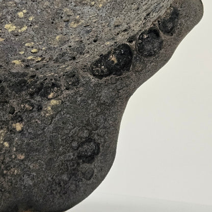 Handmade ceramic bowl"Black Coral"