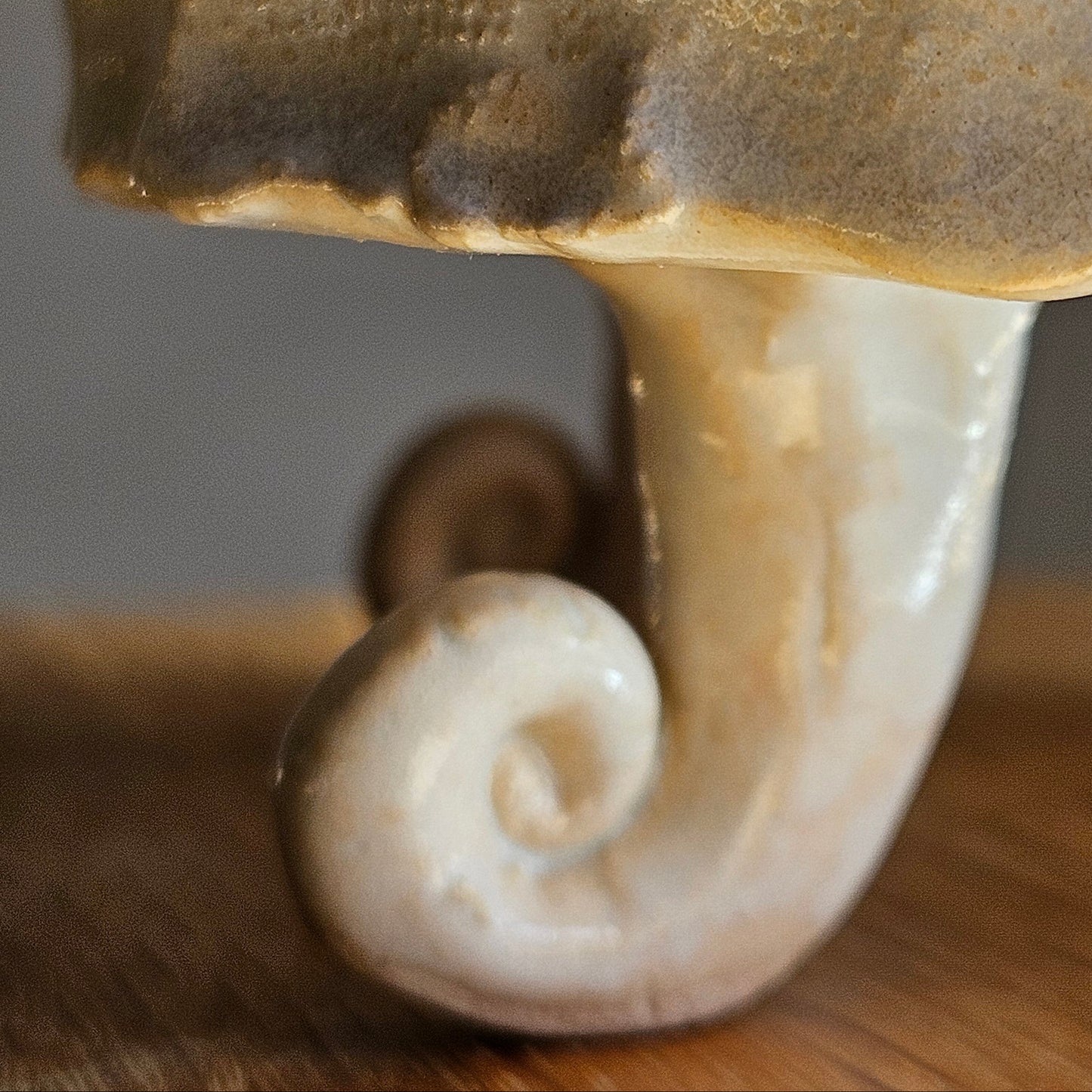 Soap bar dish