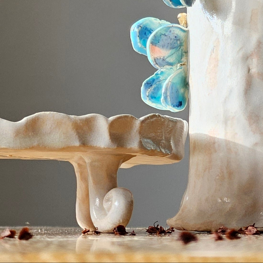 Soap bar dish