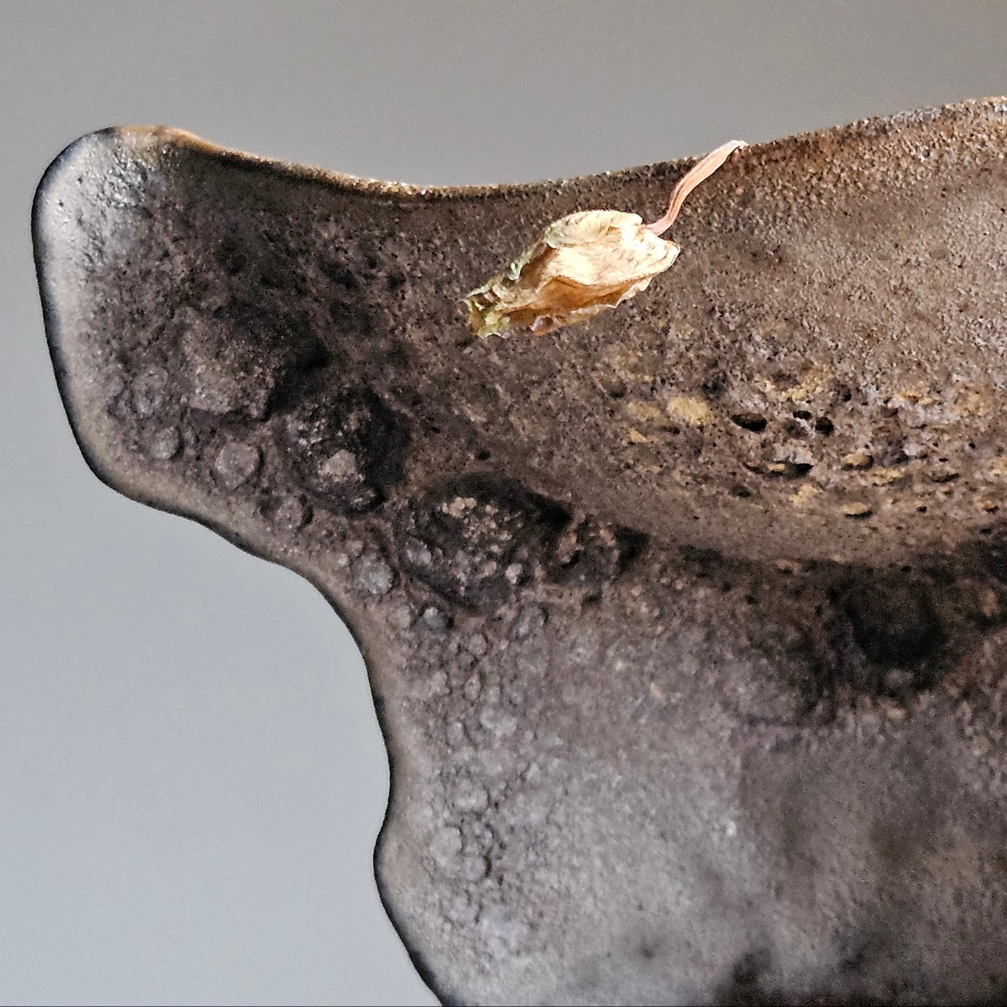 Handmade ceramic bowl"Black Coral"