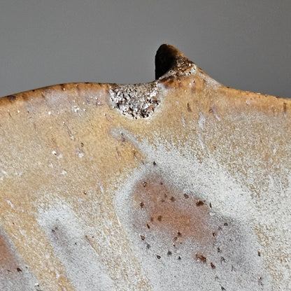Handmade ceramic bowl"Black Coral"