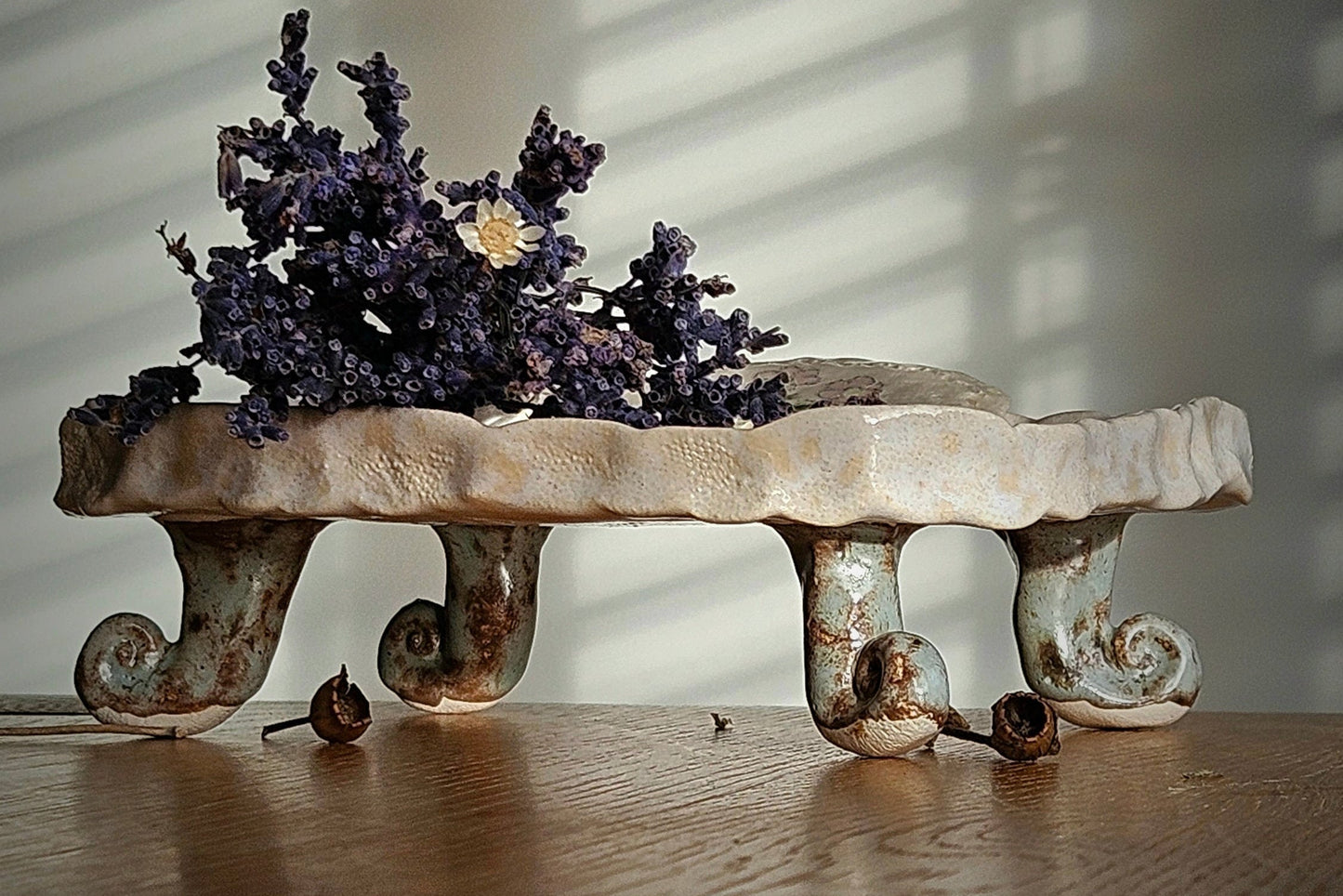 Soap  bar dish