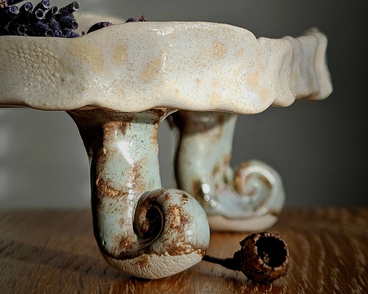Soap  bar dish