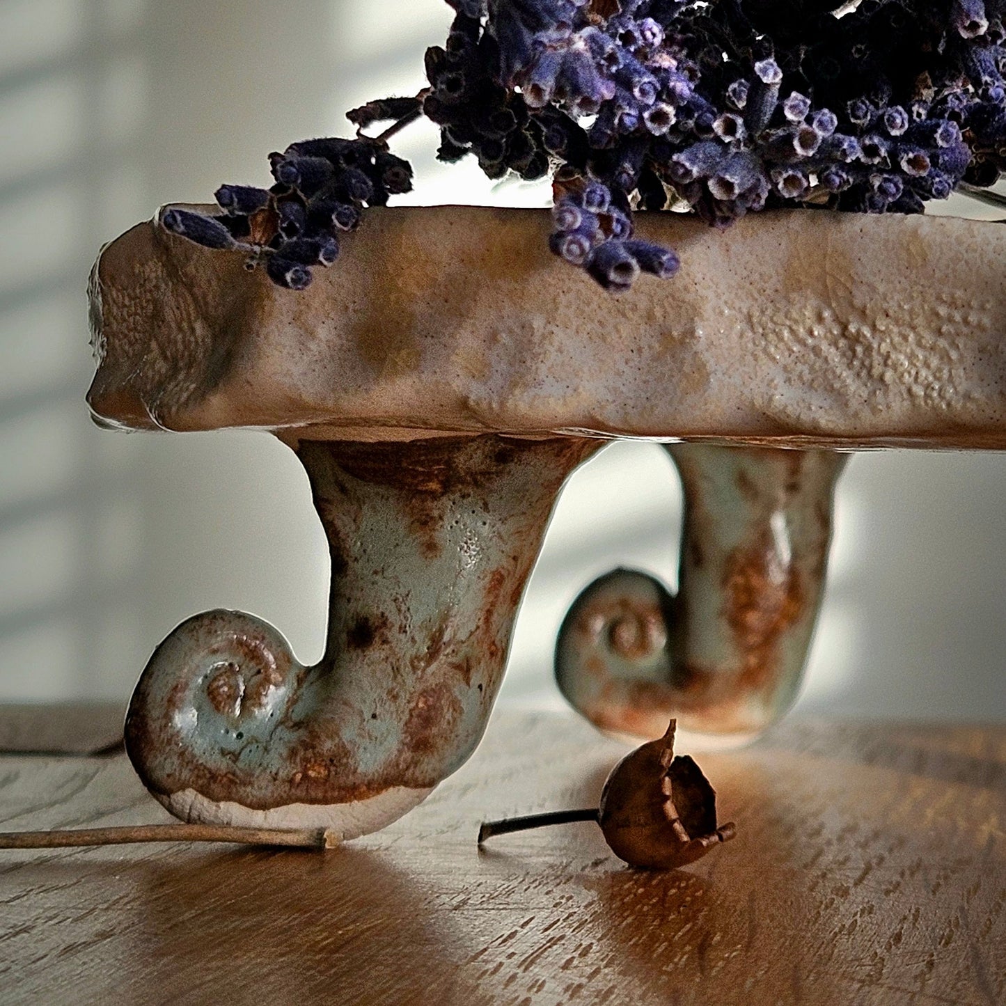 Soap  bar dish