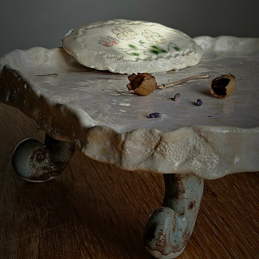 Soap  bar dish