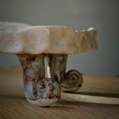 Soap  bar dish