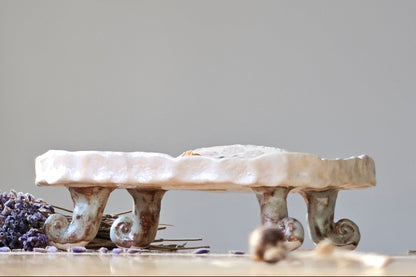 Soap  bar dish