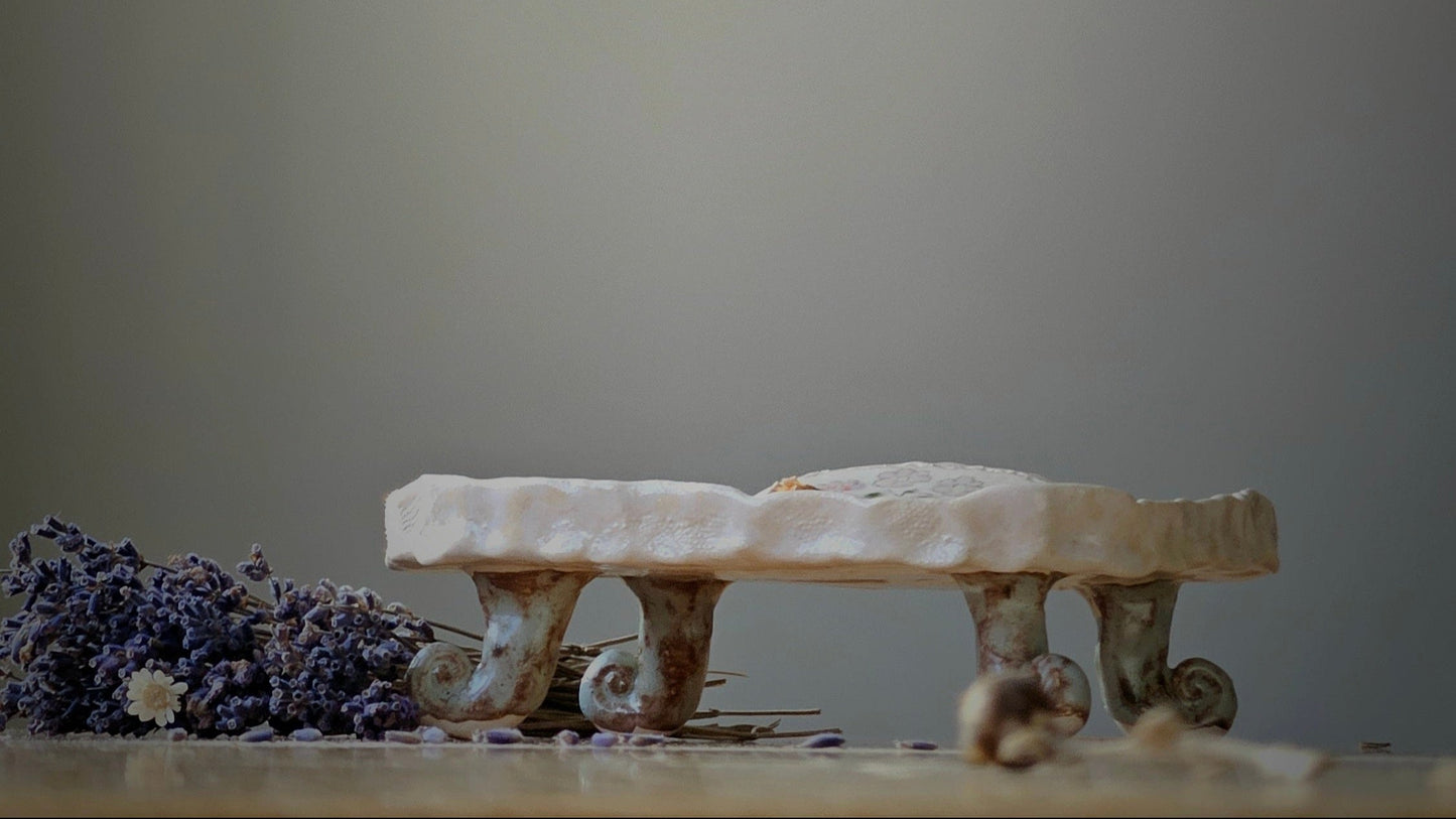 Soap  bar dish