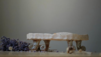 Soap  bar dish
