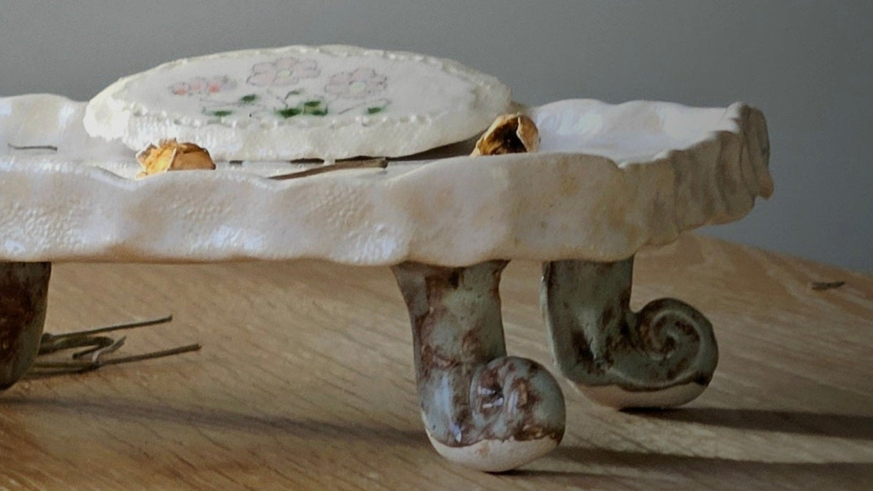 Soap  bar dish