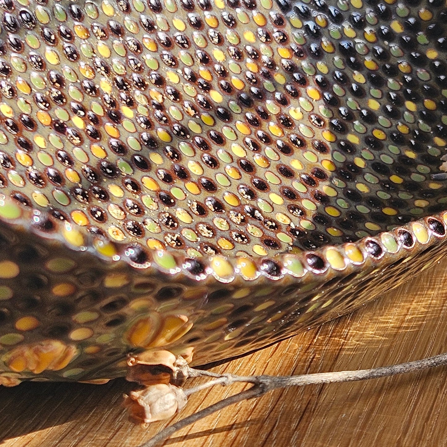 Ceramic bowl