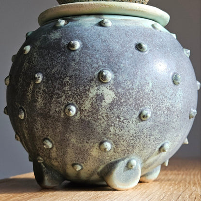Ceramic Box
